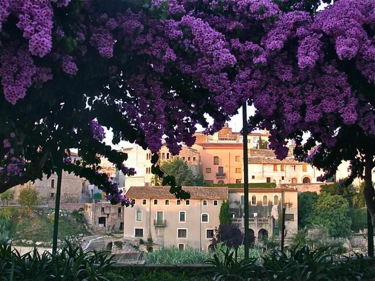 Hotel Rural Hd Riudebitlles Art I Allotjament Sant Pere de Riudebitlles Exterior photo